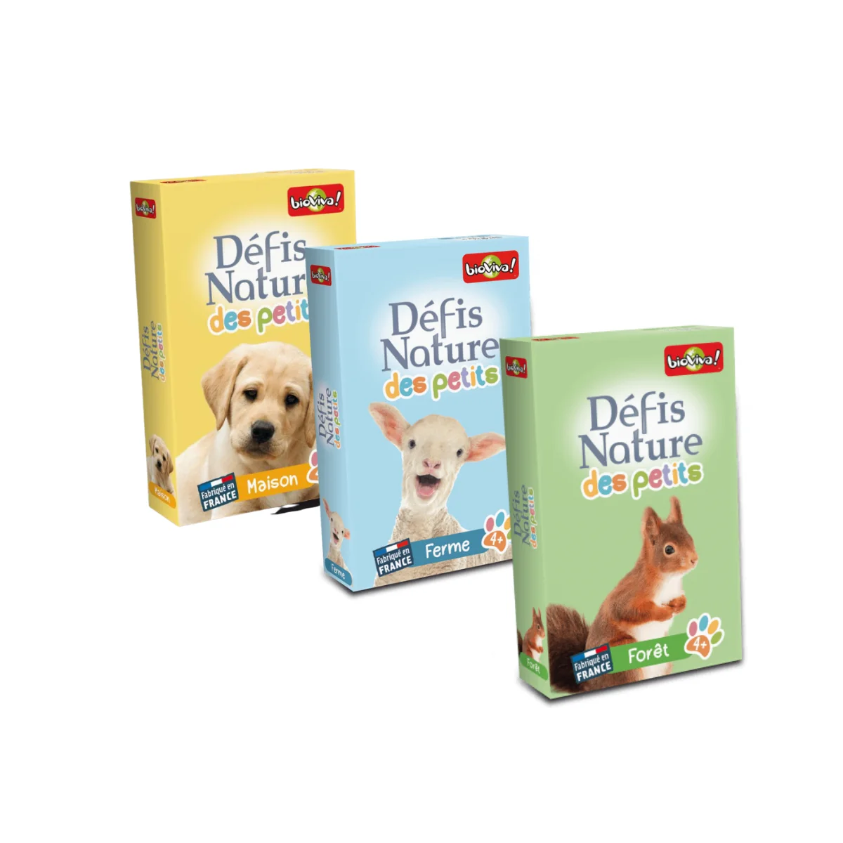 Défis nature des petits "surprise" parmi les thèmes "mer, maison ou forêt"
