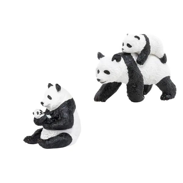 Pack la vie sauvage (parent / petit), photo 3 sur 6