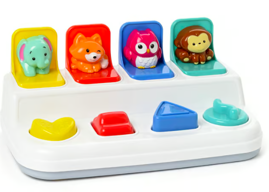Animaux cache-cache