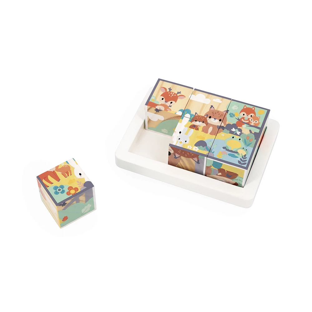 Barquette 6 cubes
