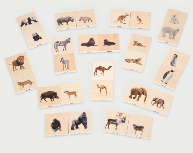 Mémory photo animaux