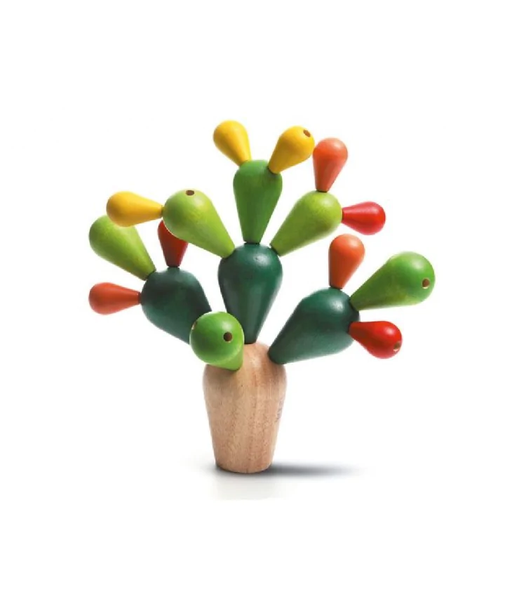 Mikado cactus