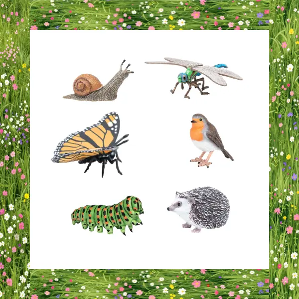 Pack les animaux des jardins, photo 6 sur 6
