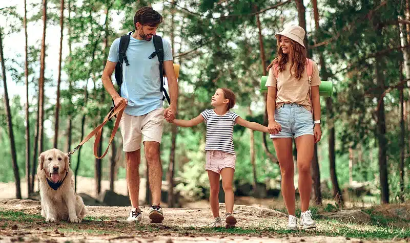Les rituels familiaux pour adoucir le quotidien