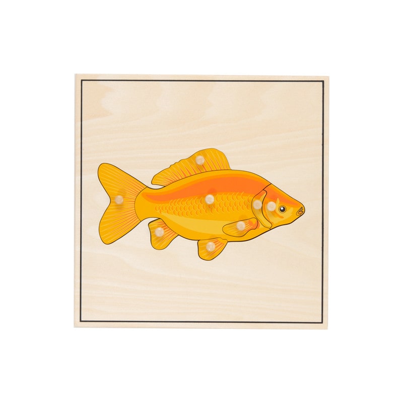 Puzzle squelette de poisson