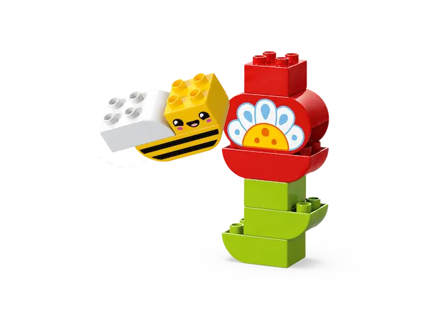Jardin créatif et fleurs duplo, photo 2 sur 4