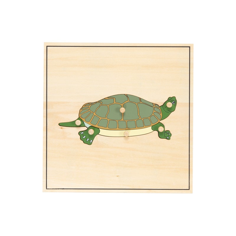 Puzzle squelette de tortue