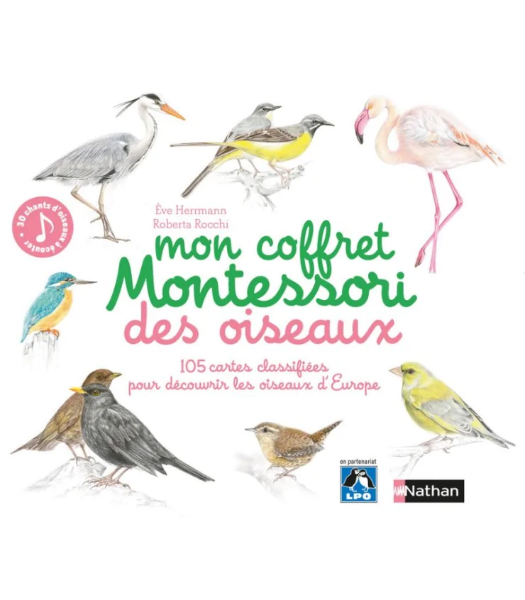 Oiseaux - coffret montessori
