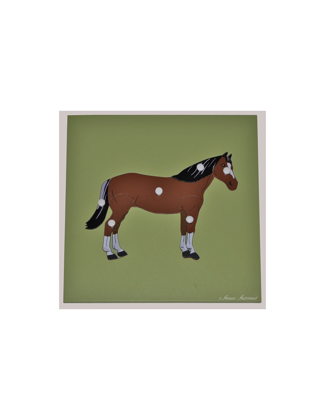 Puzzle squelette de cheval